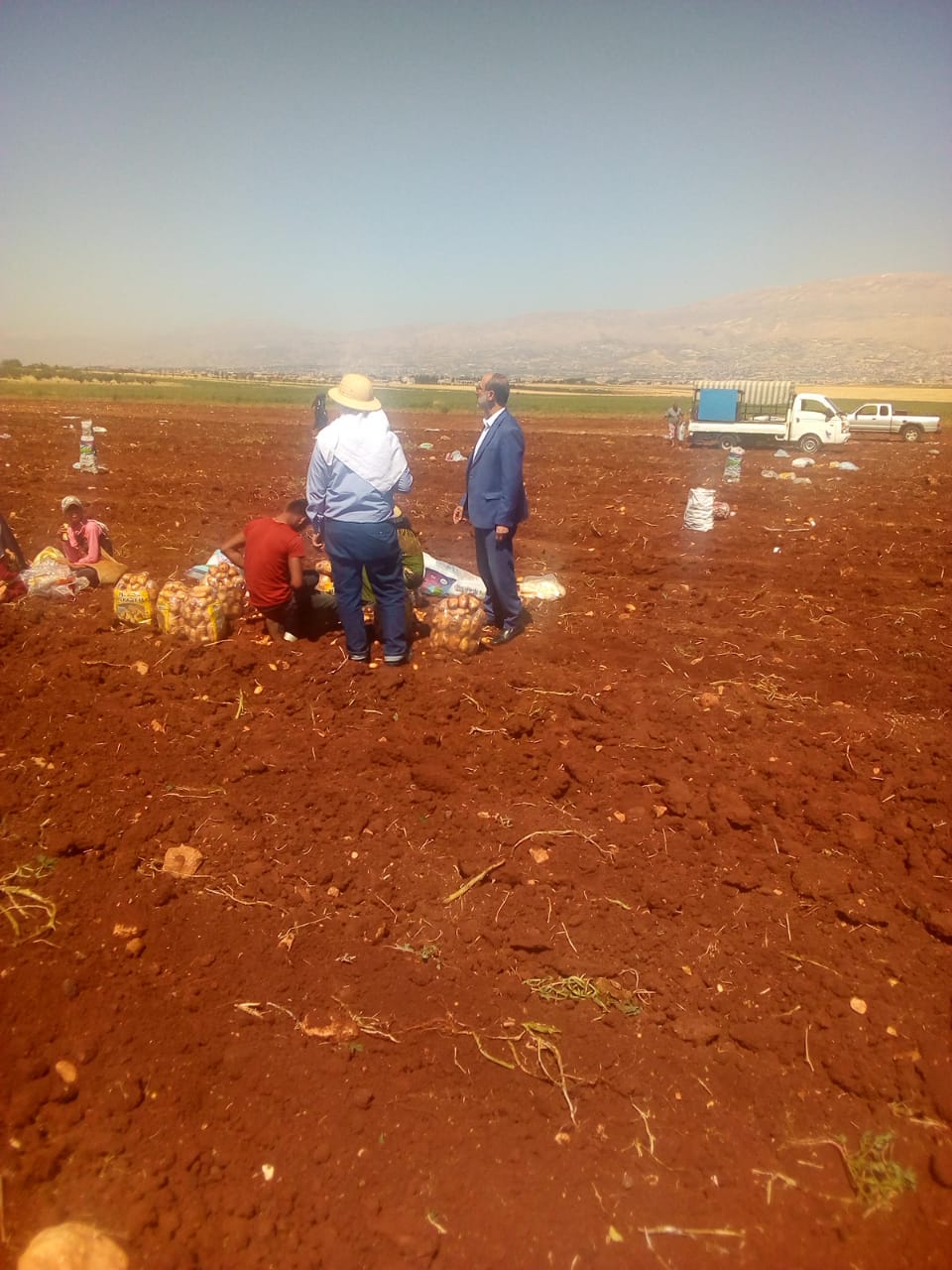 صورة2